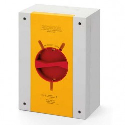 Seccionador caja IP66 4P 20A/AC22 415V Gr/Am/R