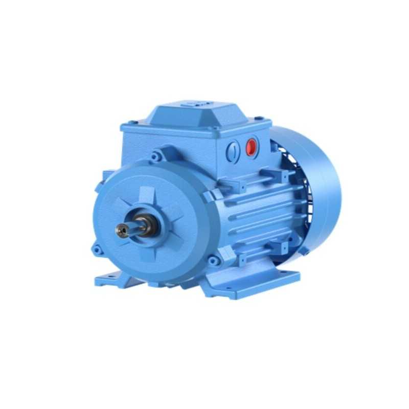 lunes barril Mal Motor Trifasico M2BAX, 11kW/15HP 3000 RPM, 400?/690? IE2